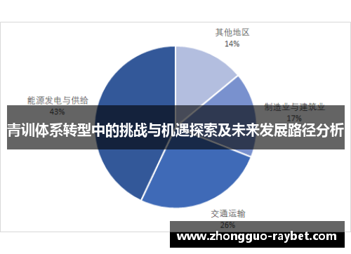 青训体系转型中的挑战与机遇探索及未来发展路径分析