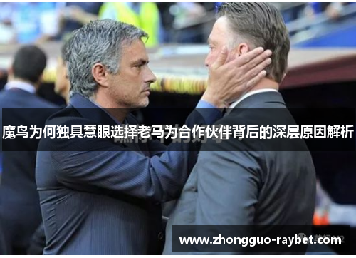魔鸟为何独具慧眼选择老马为合作伙伴背后的深层原因解析